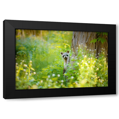 Peek A Boo Black Modern Wood Framed Art Print by Grippo-Pike, Carrie Ann