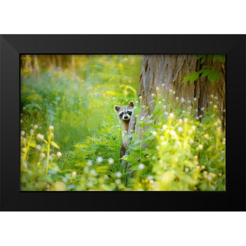 Peek A Boo Black Modern Wood Framed Art Print by Grippo-Pike, Carrie Ann