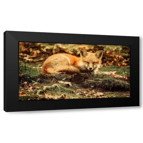 Sleeping Beauty Black Modern Wood Framed Art Print with Double Matting by Grippo-Pike, Carrie Ann