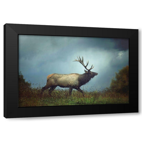 The Elk Black Modern Wood Framed Art Print with Double Matting by Grippo-Pike, Carrie Ann