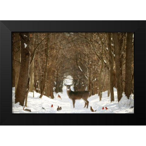 The Forest of Snow White Black Modern Wood Framed Art Print by Grippo-Pike, Carrie Ann