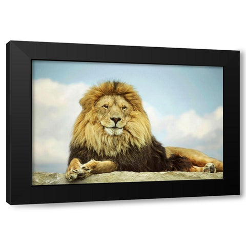 The King Black Modern Wood Framed Art Print by Grippo-Pike, Carrie Ann