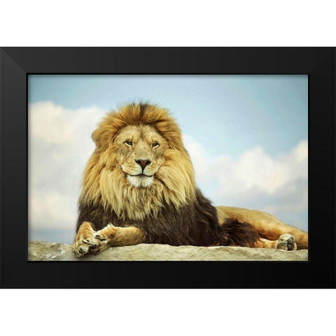 The King Black Modern Wood Framed Art Print by Grippo-Pike, Carrie Ann