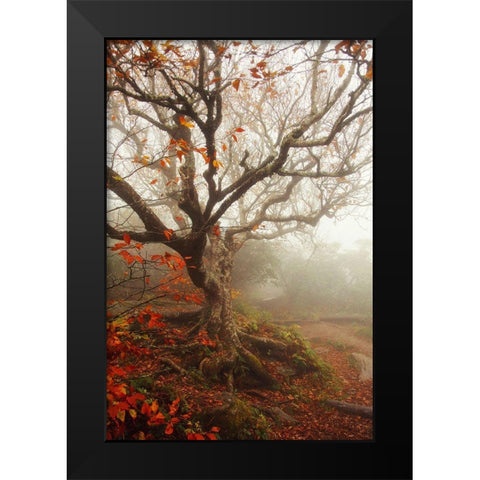 Tree of Seasons Black Modern Wood Framed Art Print by Grippo-Pike, Carrie Ann