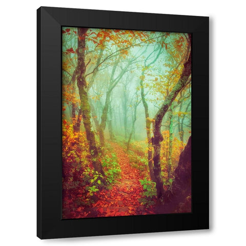 Fairytale Fall Pathway Black Modern Wood Framed Art Print by Grippo-Pike, Carrie Ann