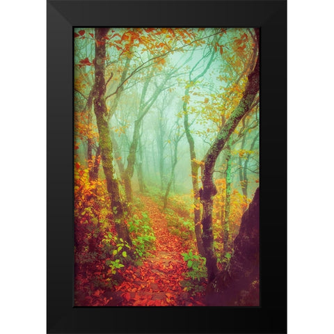 Fairytale Fall Pathway Black Modern Wood Framed Art Print by Grippo-Pike, Carrie Ann