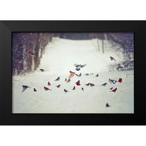 Feathered Friends Birds in Snow Black Modern Wood Framed Art Print by Grippo-Pike, Carrie Ann