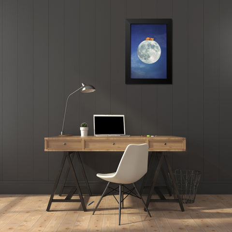 Fox Sleeping on Moon Black Modern Wood Framed Art Print by Grippo-Pike, Carrie Ann