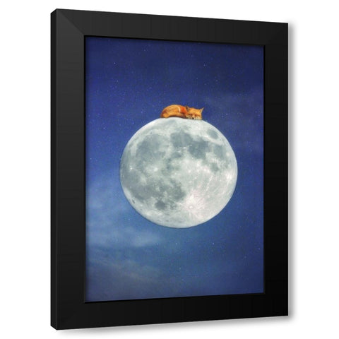 Fox Sleeping on Moon Black Modern Wood Framed Art Print by Grippo-Pike, Carrie Ann