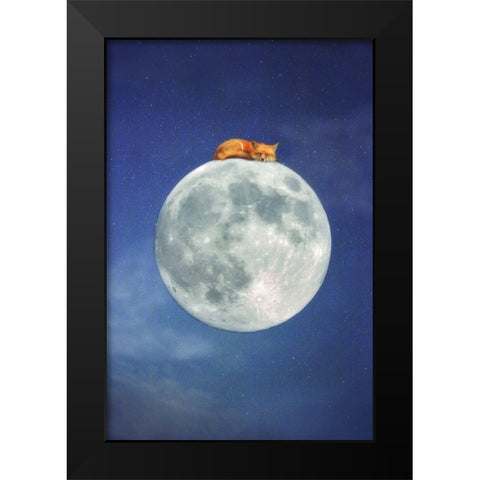 Fox Sleeping on Moon Black Modern Wood Framed Art Print by Grippo-Pike, Carrie Ann