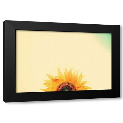 Sunflower Sunrise Black Modern Wood Framed Art Print by Grippo-Pike, Carrie Ann