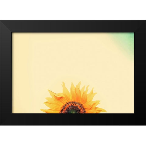 Sunflower Sunrise Black Modern Wood Framed Art Print by Grippo-Pike, Carrie Ann