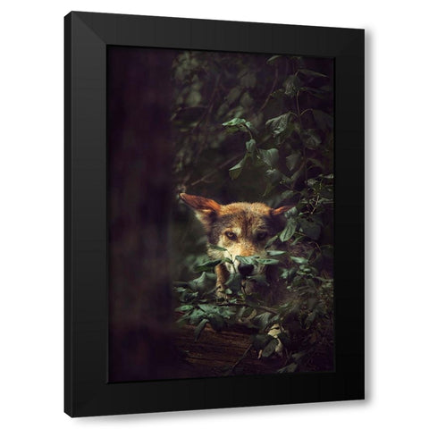 Wolf Black Modern Wood Framed Art Print by Grippo-Pike, Carrie Ann