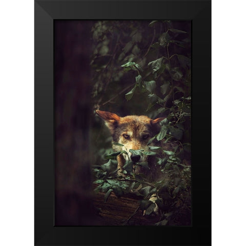 Wolf Black Modern Wood Framed Art Print by Grippo-Pike, Carrie Ann
