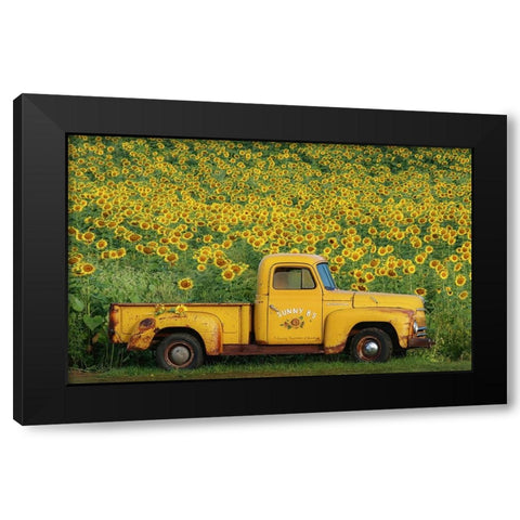 Yellow Vintage Sunflower Truck Black Modern Wood Framed Art Print with Double Matting by Grippo-Pike, Carrie Ann