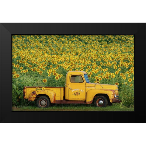 Yellow Vintage Sunflower Truck Black Modern Wood Framed Art Print by Grippo-Pike, Carrie Ann