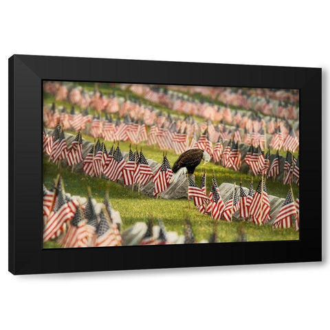 The Final Salute - Blad Eagle Black Modern Wood Framed Art Print by Grippo-Pike, Carrie Ann