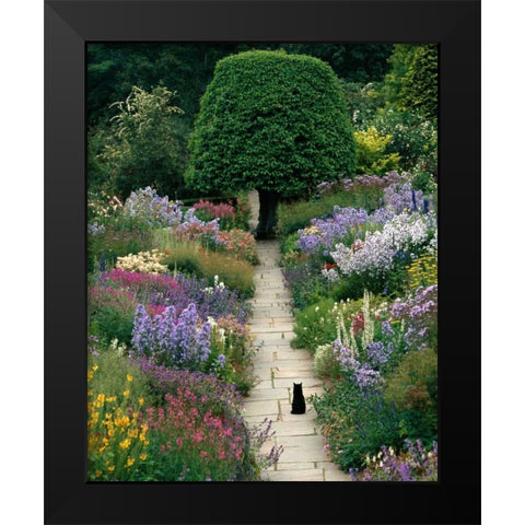 The Garden Cat Black Modern Wood Framed Art Print by Gawlowski, Greg