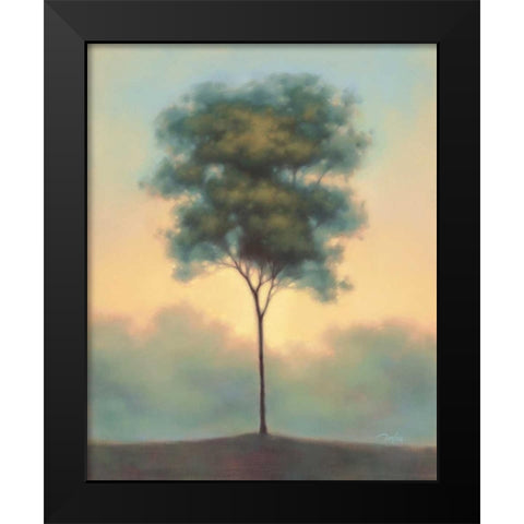 Solitude I Black Modern Wood Framed Art Print by Gams, Darlou
