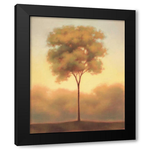 Solitude III Black Modern Wood Framed Art Print with Double Matting by Gams, Darlou