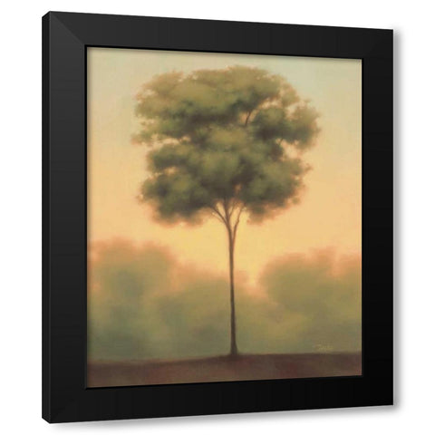 Solitude IV Black Modern Wood Framed Art Print by Gams, Darlou