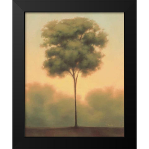 Solitude IV Black Modern Wood Framed Art Print by Gams, Darlou