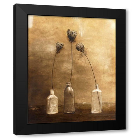 Three Views Black Modern Wood Framed Art Print with Double Matting by Gauthier, Jan