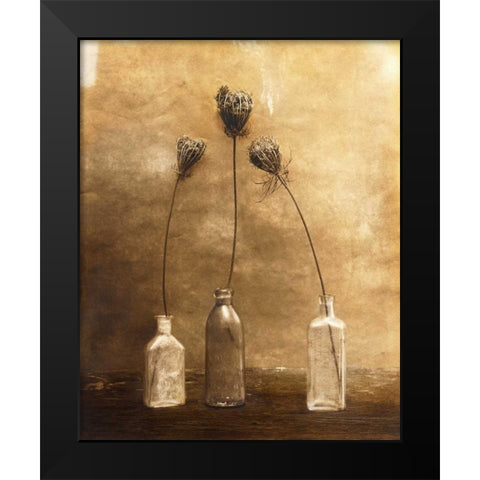 Three Views Black Modern Wood Framed Art Print by Gauthier, Jan