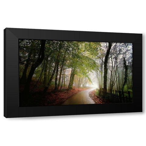 The Fence Black Modern Wood Framed Art Print with Double Matting by Goncalves, Adelino