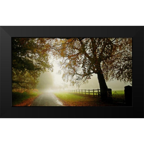 The Fog Black Modern Wood Framed Art Print by Goncalves, Adelino
