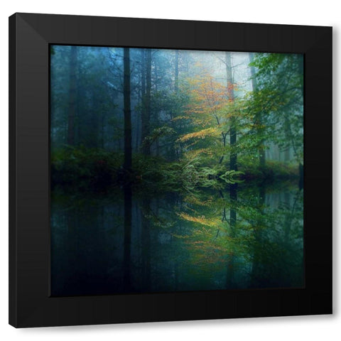 The Forest Black Modern Wood Framed Art Print by Goncalves, Adelino