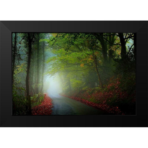 The Lane Black Modern Wood Framed Art Print by Goncalves, Adelino