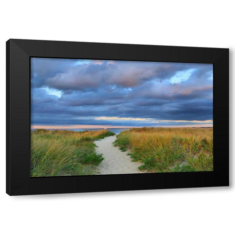 Jetties Beach Path Black Modern Wood Framed Art Print by Gendreau, Katherine