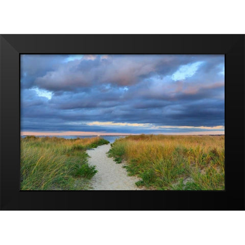 Jetties Beach Path Black Modern Wood Framed Art Print by Gendreau, Katherine