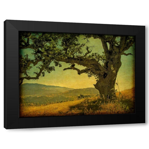 Blue Oak Hilltop Black Modern Wood Framed Art Print with Double Matting by Guion, William