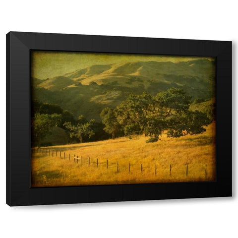 Oak and Fence Black Modern Wood Framed Art Print by Guion, William