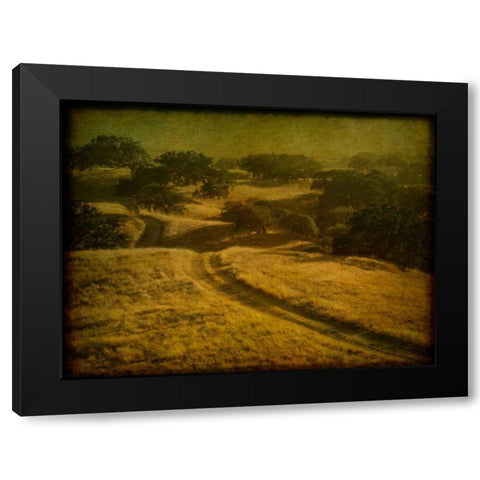 Ranch Road and Oak Savannah Black Modern Wood Framed Art Print by Guion, William