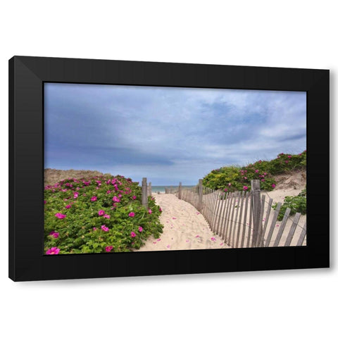 Rose Path Black Modern Wood Framed Art Print by Gendreau, Katherine