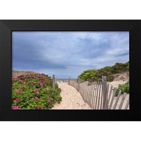 Rose Path Black Modern Wood Framed Art Print by Gendreau, Katherine