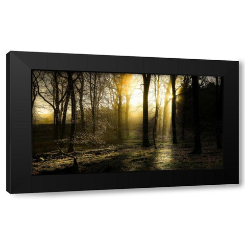 Autumn Lights Black Modern Wood Framed Art Print by Goncalves, Adelino