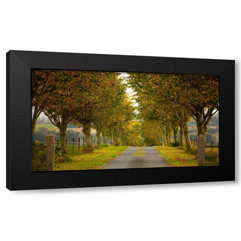 Colors of Autumn Black Modern Wood Framed Art Print by Goncalves, Adelino