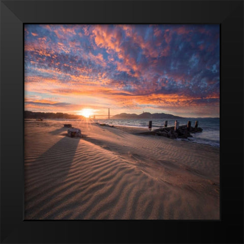 Composed Black Modern Wood Framed Art Print by Gordon, Dave