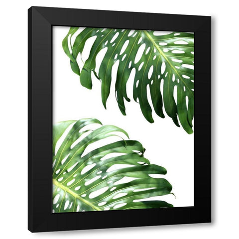 Double Philodendron - color Black Modern Wood Framed Art Print by Greer, Lexie