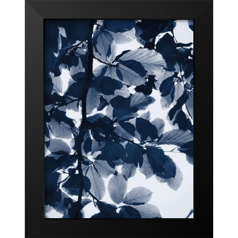 Indigo Leaves Black Modern Wood Framed Art Print by Greer, Lexie