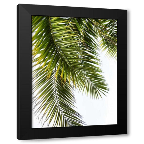 Palm Leaves Black Modern Wood Framed Art Print by Greer, Lexie