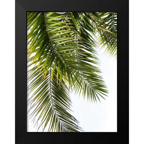 Palm Leaves Black Modern Wood Framed Art Print by Greer, Lexie