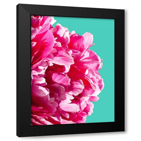 Pink Peony Black Modern Wood Framed Art Print by Greer, Lexie