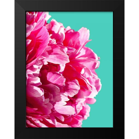Pink Peony Black Modern Wood Framed Art Print by Greer, Lexie