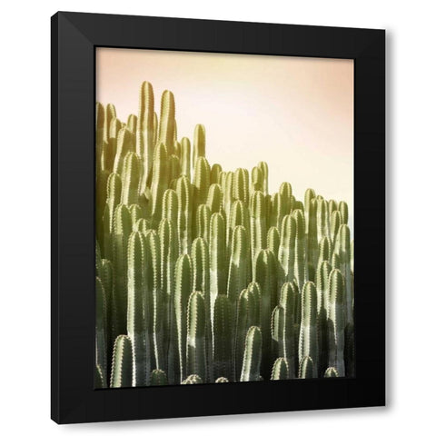 Pink Sky Cactus Black Modern Wood Framed Art Print by Greer, Lexie