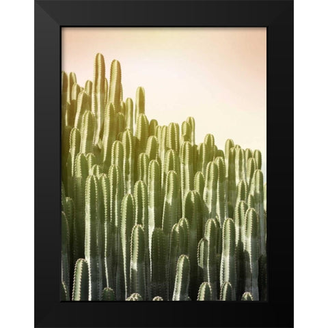 Pink Sky Cactus Black Modern Wood Framed Art Print by Greer, Lexie